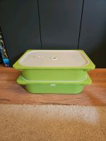 2 x Ikea Trofast Boxen  grün  42x30x10 mit Deckel Nordrhein-Westfalen - Datteln Vorschau