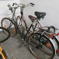 Fahrrad Oltimer Alte Holländer  für Liebhaber  Sammler  Antike Hessen - Raunheim Vorschau