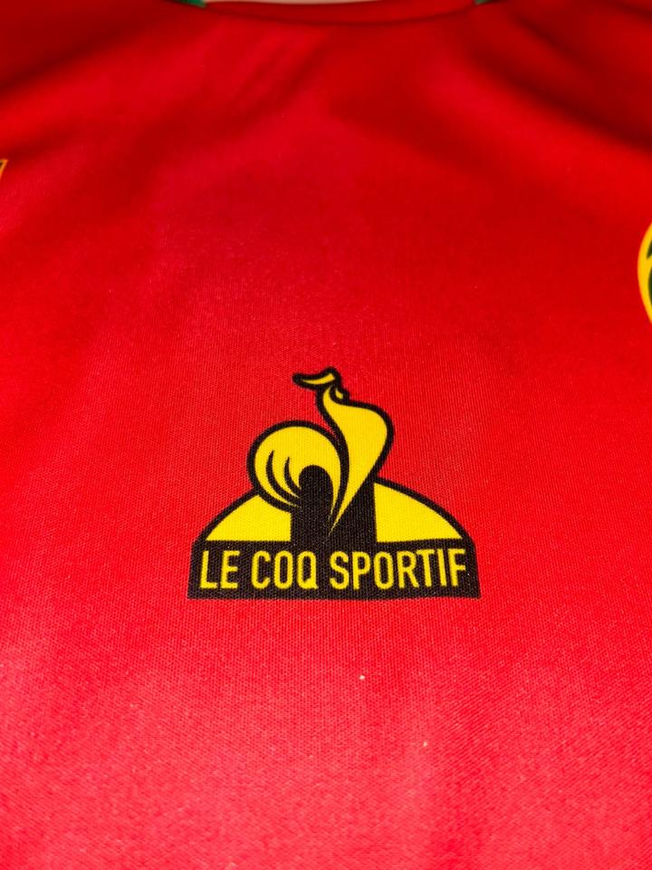 Kamerun Nationalmannschaft Trikot XL 2022/2023 Original NEU in Sulingen