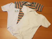 3 Babybody Frottee Gr. 62/68 Niedersachsen - Nordstemmen Vorschau