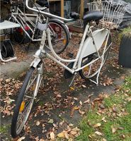 Fahrrad Delta Rijwielen in beige | Holland Damenrad 28 Zoll Hessen - Darmstadt Vorschau