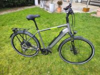 Raleigh Stanton 9, Herren-E-Bike mit 500 Wh Neodrives Akku Nordrhein-Westfalen - Ennepetal Vorschau