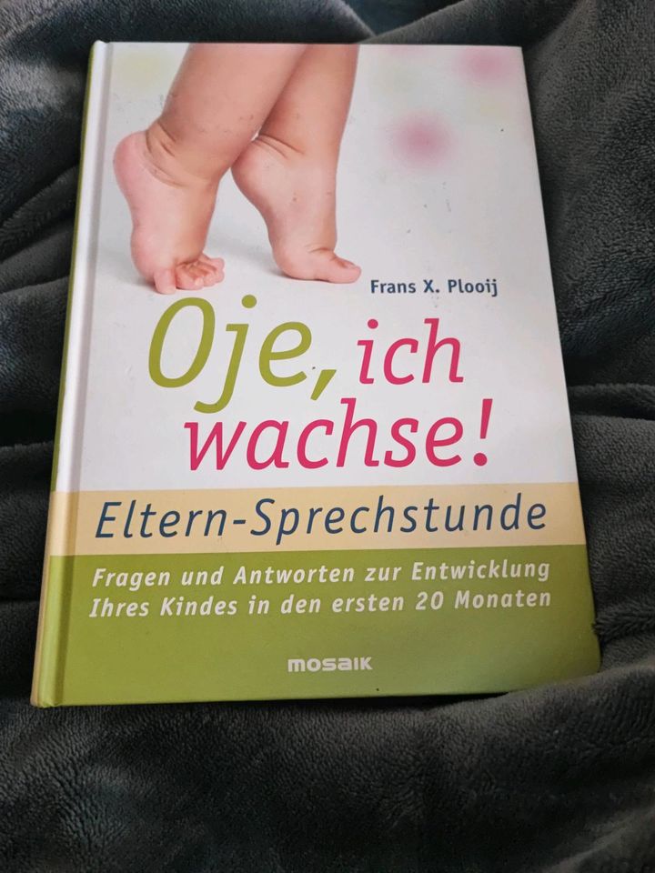 Baby Bücher in Oechsen