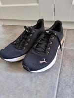 puma sneaker gr. 42 Thüringen - Erfurt Vorschau