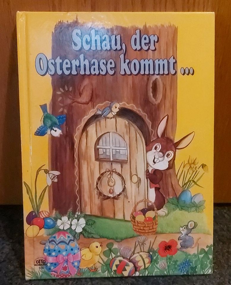 Kinderbuch Schau der osterhase kommt in Neubrandenburg