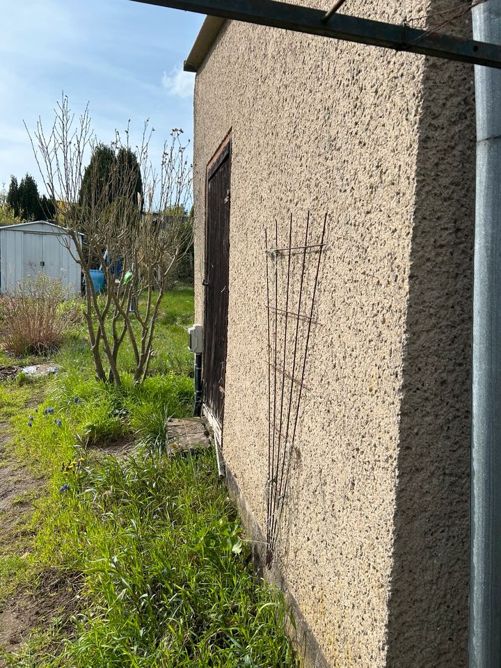 Garten mit massivem Gartenhaus in Doberan Ostseenähe in Bad Doberan