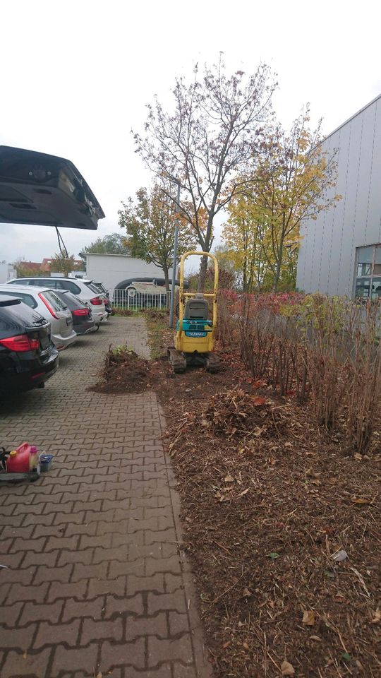 Baggerarbeiten Gartenpflege Hausmeisterservice in Halle