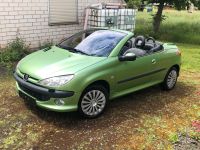 Peugeot 206 cc Cabrio Rheinland-Pfalz - Eisenberg  Vorschau