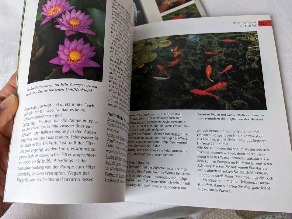 GU Goldfische Aquarienfische Tetra Meine ersten Aquarienfische in Augsburg