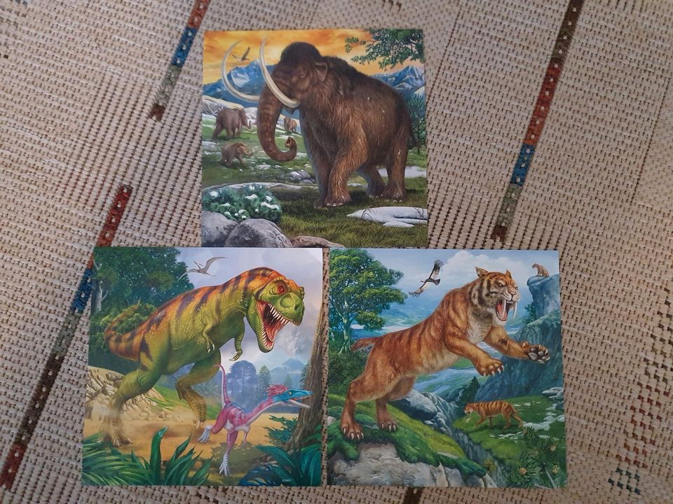 Ravensburger Puzzle Herrscher der Urzeit Dinosaurier 3x49 Teile in Berlin