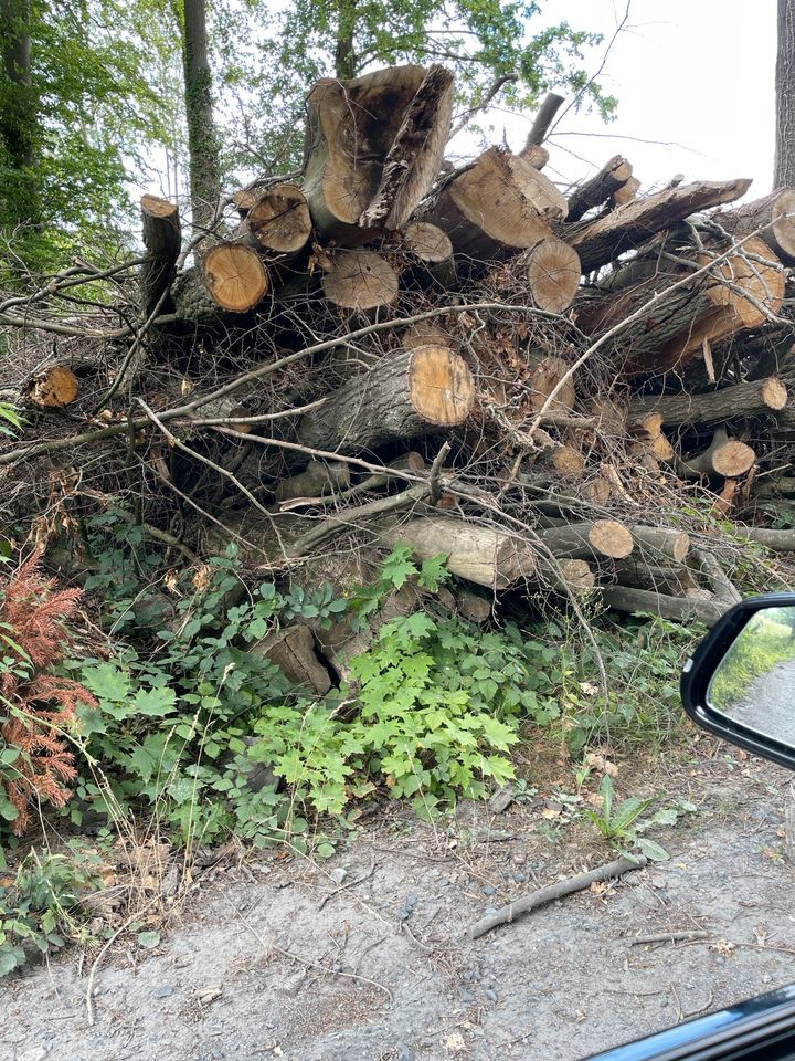 Kaminholz trocken , Buche ~80%, Eiche ~20%, inkl. Lieferung in Ahaus