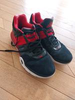 Basketballschuh Adidas Derrick Rose 41 1/3 Bayern - Feuchtwangen Vorschau