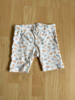 Shorts, Hust and Claire, 2 Jahre, 92 Hessen - Kassel Vorschau