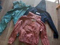 3 Kaputzen Sweatshirts für Mädchen- Größe 164 Dithmarschen - Nordhastedt Vorschau