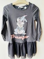 Disney H&M Thumper Kleid Langarm Tüllkleid Gr 122 128 Rheinland-Pfalz - Deidesheim Vorschau