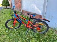 20“ Kindermountainbike Cube MTB Sachsen - Elsterheide Vorschau