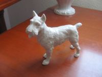 Rosenthal Porzellan Figur Hund Schnautzer Top Leipzig - Kleinzschocher Vorschau