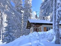 Hütte Hauser Kaibling an der Skipiste Schladming Österreich 6 P. Baden-Württemberg - Karlsruhe Vorschau