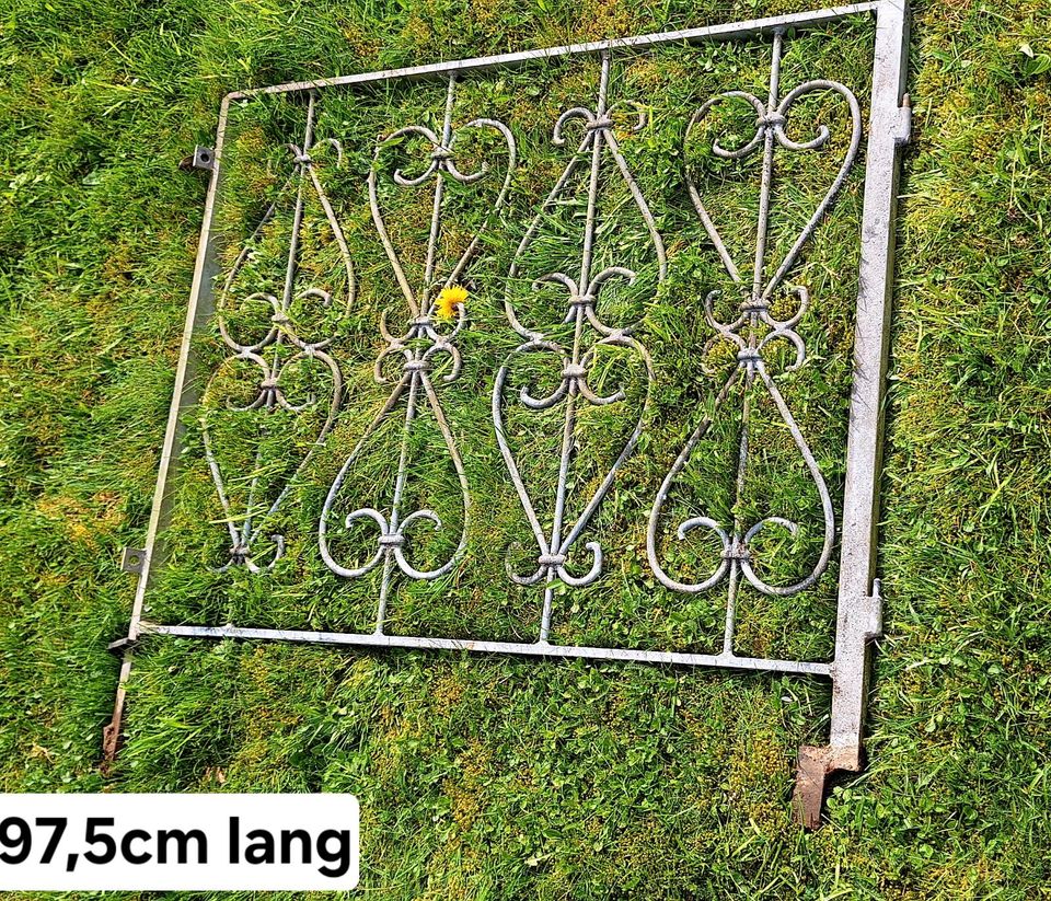 Gartenzaun mit Tor  17 Meter Lang in Haiger