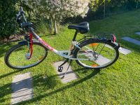 Pegasus Fahrrad Größe 26 × 1.90 Niedersachsen - Wedemark Vorschau