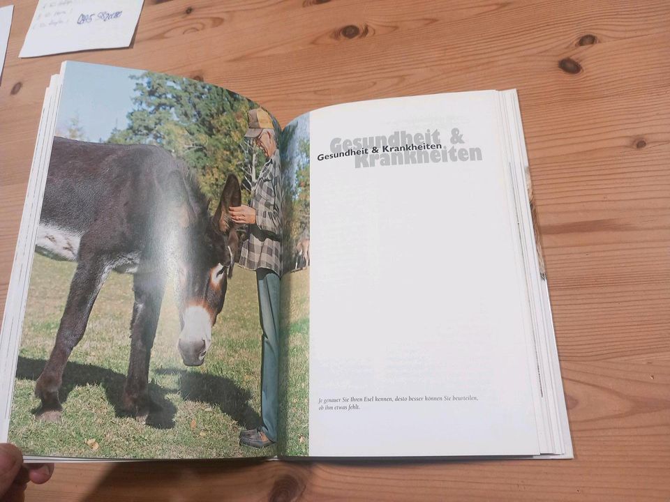 Liebenswertes Langohr Buch über Esel 1 A Zustand in Bentzin