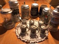 Bierkrüge aus privater Sammlung Nordrhein-Westfalen - Lemgo Vorschau