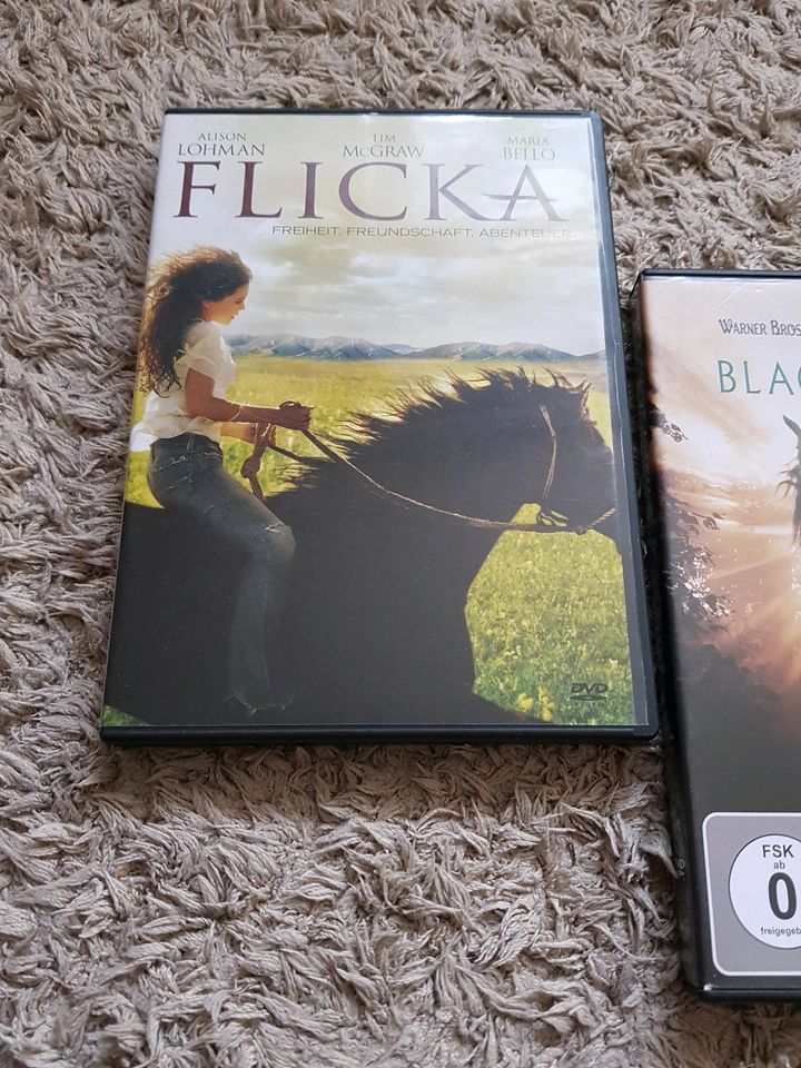 Black Beauty, Flicka, DVD Pferdefilme in Dieburg