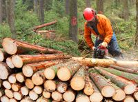 Suche Arbeiter für Waldarbeit Bayern - Geltendorf Vorschau