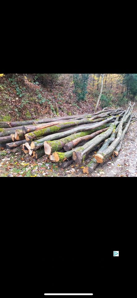 Brennholz frisch gespaltenes  Buche Eiche Laubholz gemischt in Saarwellingen