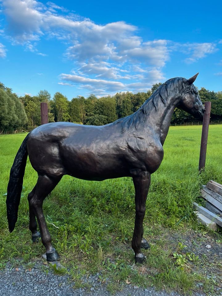 Lebensgroßes Pferd aus Bronze -  in Wickede besichtigen? in Wickede (Ruhr)