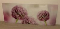 Glasbild, Acrylglas, Bild, Blume, Allium Kugel Wandsbek - Hamburg Rahlstedt Vorschau