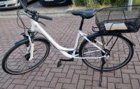 Damenfahrrad | Fahrrad | Kalkhoff | Bike | Neu | Damenrad Hannover - Mitte Vorschau