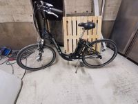 E - Bike prophete city Line E-cc-300 Nordrhein-Westfalen - Kalkar Vorschau