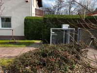 Gartenhilfe Hecke schneiden rasen mähen Unkraut entfernen uvm Berlin - Tempelhof Vorschau