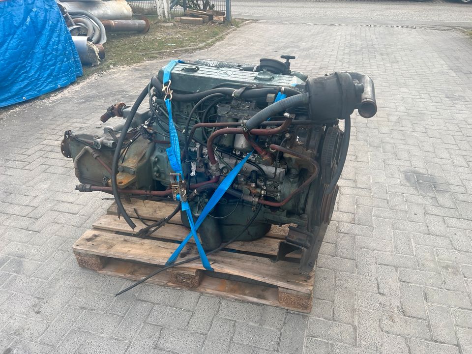 Mercedes Motor OM366A LKW Unimog MB Trac Motor in Dänischenhagen