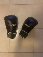 X-Fight Boxhandschuhe Baden-Württemberg - Friesenheim Vorschau