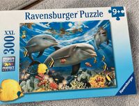 Ravensburger puzzle 300 xxl 9+ delfine Baden-Württemberg - Oberkirch Vorschau