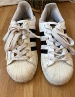 Adidas Superstar Schuhe Turnschuhe Sneaker Gr 35,5 Bayern - Hof (Saale) Vorschau