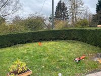 Gartenbau Hohenhoff Nordrhein-Westfalen - Morsbach Vorschau