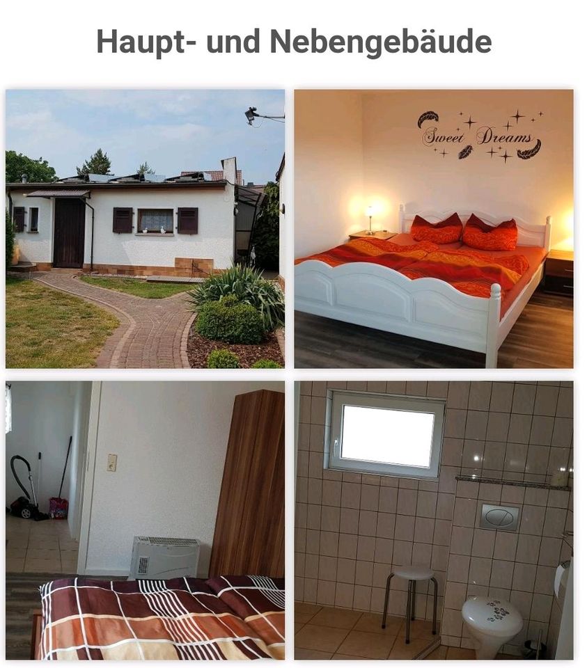 Ferienhaus mit Pool - Dübener Heide - 1 Woche Erholungsurlaub in Kemberg