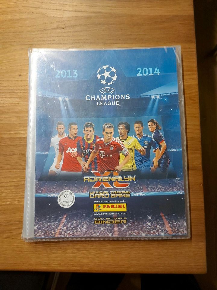 Champions League 2013-2014 Karten in Wunstorf