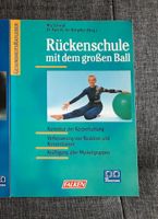 Rückenschule mit dem großen Ball - Gymnastik, Bewegung Niedersachsen - Braunschweig Vorschau