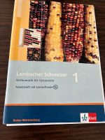 Gymnasium Lambacher Schweizer Mathematik Baden-Württemberg - Sinzheim Vorschau