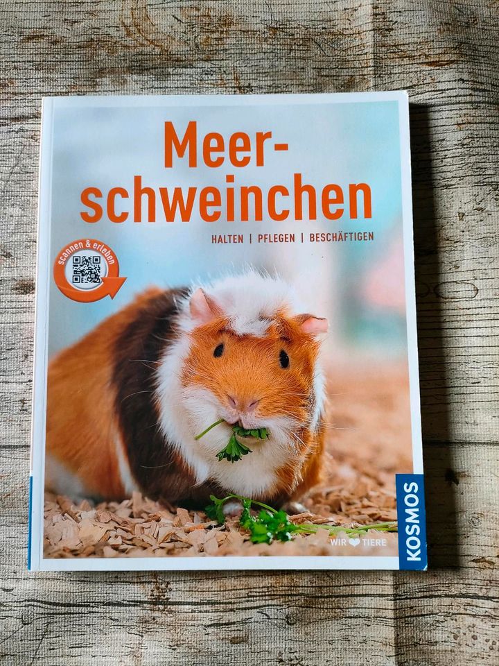 Meerschweinchen Bücher in Elsdorf