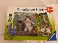 Puzzle Katzen Baden-Württemberg - Weil am Rhein Vorschau