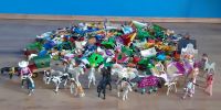 Playmobil (diverse Teile) Nordrhein-Westfalen - Schieder-Schwalenberg Vorschau