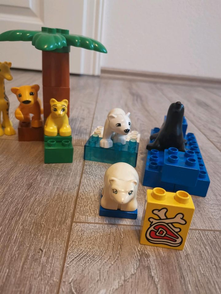Lego duplo Set Zootiere in Klein Rönnau