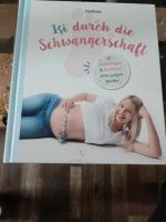 Buch Isi durch die Schwangerschaft Rheinland-Pfalz - Kirchheimbolanden Vorschau