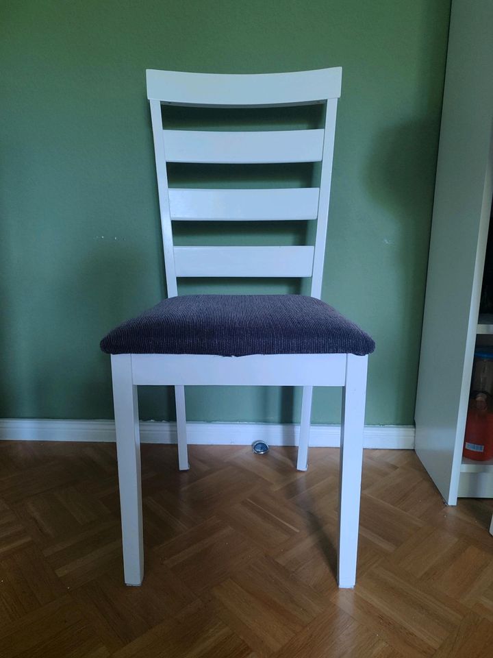 Stühle weiß mit grauem Polster in Dresden