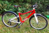 Woom Fahrrad rot Gr. 6 (140 - 165 cm) 26 Zoll; noch Garantie Dresden - Dresden-Plauen Vorschau